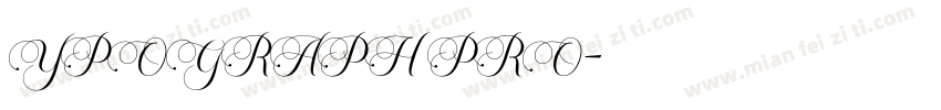 YPOGRAPH PRO字体转换
